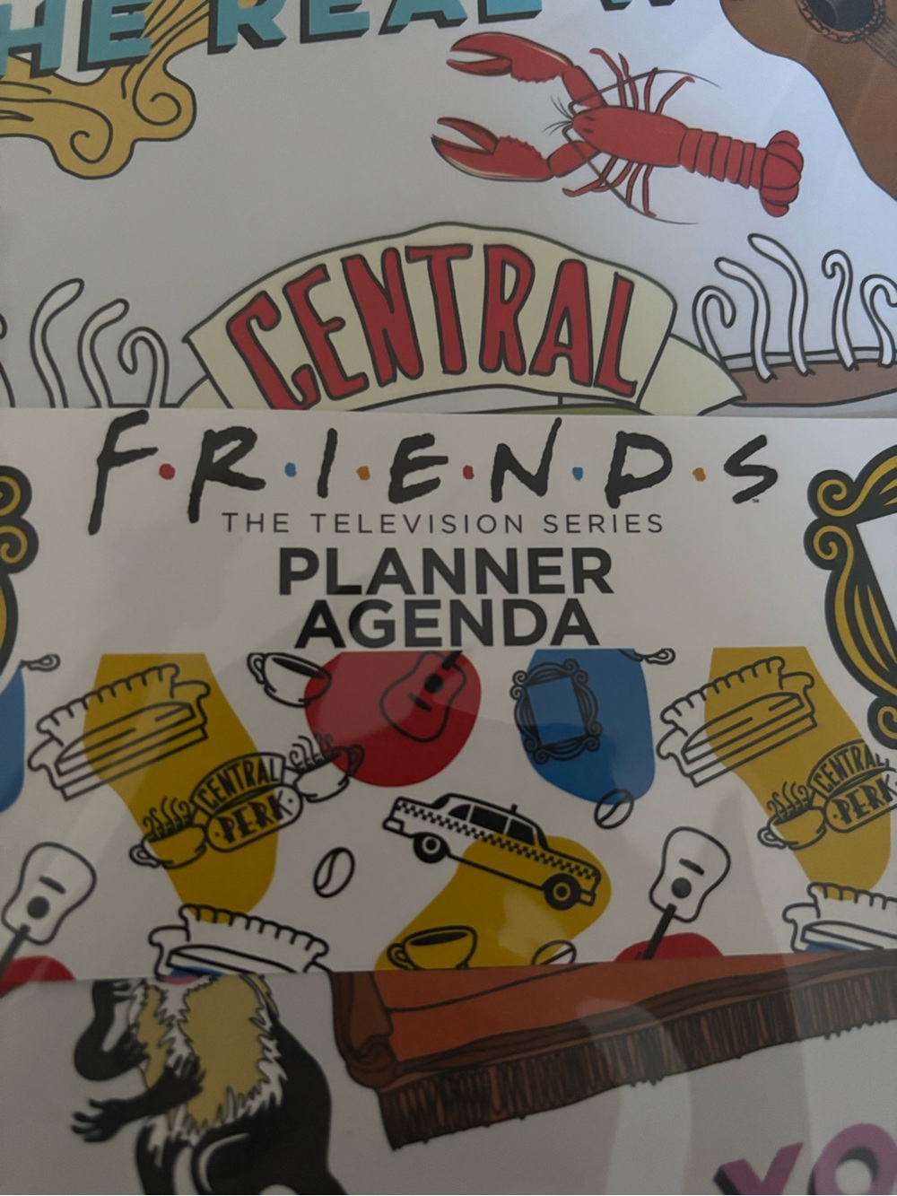 FRIENDS Planner Agenda - White, Red, Blue, Yellow